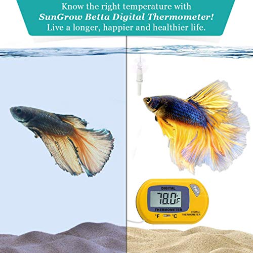 SunGrow Termómetro digital Betta, color amarillo, lee con precisión la temperatura del acuario, mantiene el hogar nativo de Betta, fácil de instalar, viene con 2 ventosas, 1 paquete