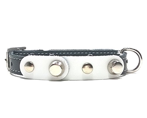 Superpipapo Set Collar y Correa Perros Pequeños y Chihuahuas | Diseño con Tachuelas y Cuero Blanco Negro