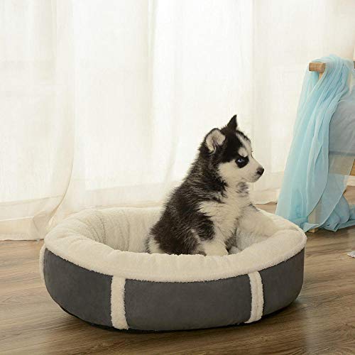 SYQY Mascota Perro Cachorro Gato Fleece Cama Caliente Casa Felpa Cozy Nest Mat Pad-como se Muestra_S