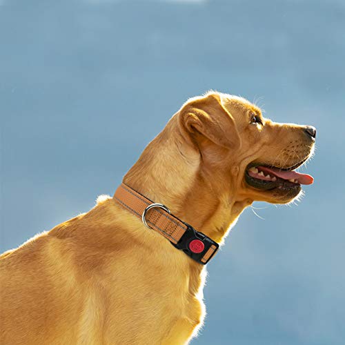 Taglory Collar Perro, Collar Nylon Reflectante Neopreno Forrado Ajustable para Perros Grandes, Marrón