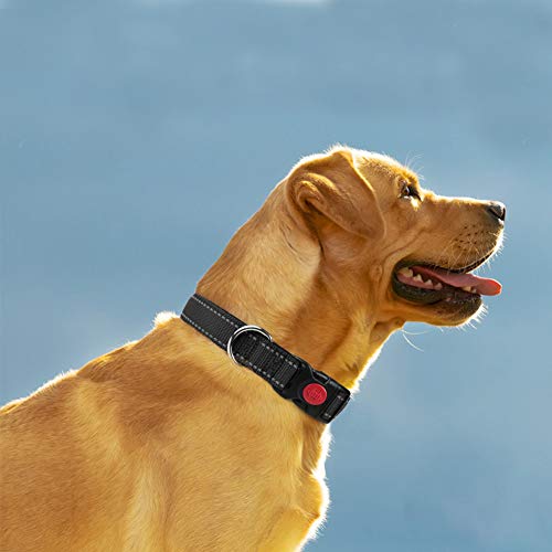 Taglory Collar Perro, Collar Nylon Reflectante Neopreno Forrado Ajustable para Perros Grandes, Negro