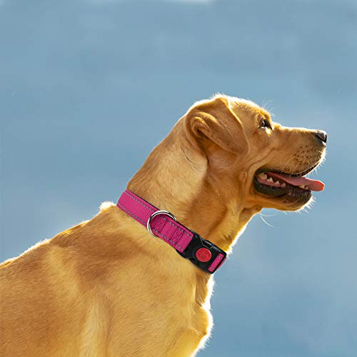 Taglory Collar Perro, Collar Nylon Reflectante Neopreno Forrado Ajustable para Perros Medianos, Fucsia