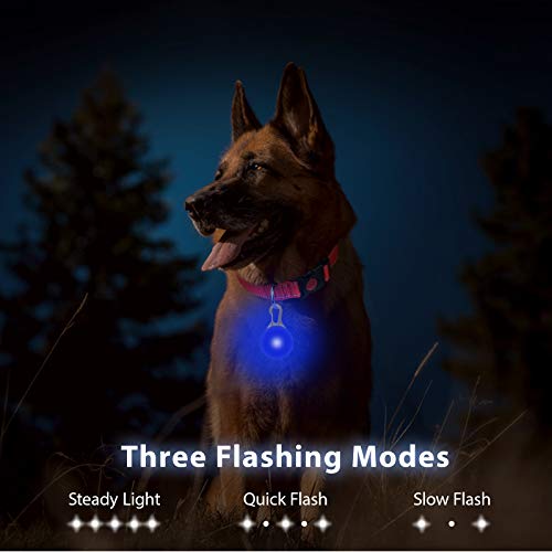 Taglory Luz LED Collares para Perro Clip-on, Luces de Seguridad Coloridas para Perros y Gatos, Collar Luminoso Perro Luz Impermeable, Colgante Perro Luz LED Noche(4 Baterías Adicionales), Azul