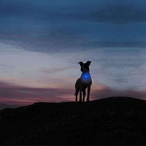 Taglory Luz LED Collares para Perro Clip-on, Luces de Seguridad Coloridas para Perros y Gatos, Collar Luminoso Perro Luz Impermeable, Colgante Perro Luz LED Noche(4 Baterías Adicionales), Azul