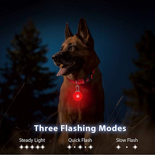 Taglory Luz LED Collares para Perro Clip-on, Luces de Seguridad Coloridas para Perros y Gatos, Collar Luminoso Perro Luz Impermeable, Colgante Perro Luz LED Noche(4 Baterías Adicionales), Rojo
