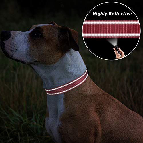 TagME Collar Perro Ajustable,Collar Nylon Reflectante,para Caminar Correr Entrenamiento,para Perros Extrapequeños,Rosa,1.5cm De Ancho