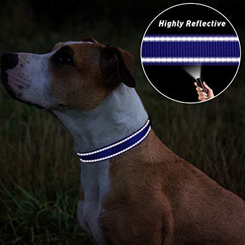 TagME Collar Perro Ajustable,Collar Nylon Reflectante,para Caminar Correr Entrenamiento,para Perros Medianos,Azul Marino,2.5cm De Ancho