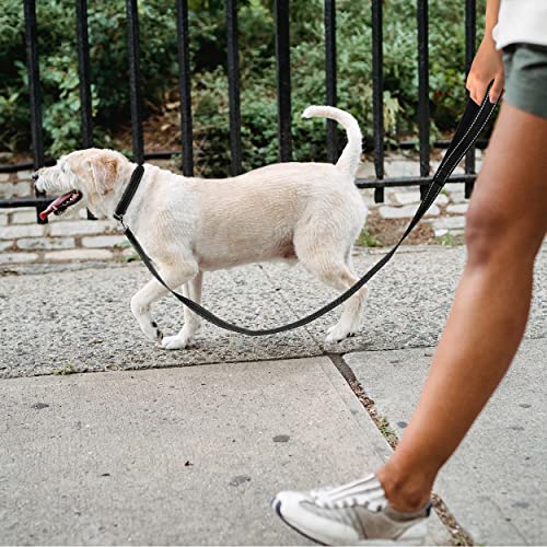 TagME Collar Perro Ajustable,Collar Nylon Reflectante,para Caminar Correr Entrenamiento,para Perros Medianos,Negro,2.5cm De Ancho
