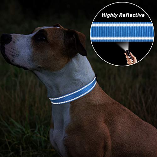 TagME Collar Perro Ajustable,Collar Nylon Reflectante,para Caminar Correr Entrenamiento,para Perros Pequeños,Cielo Azul,1.5cm De Ancho