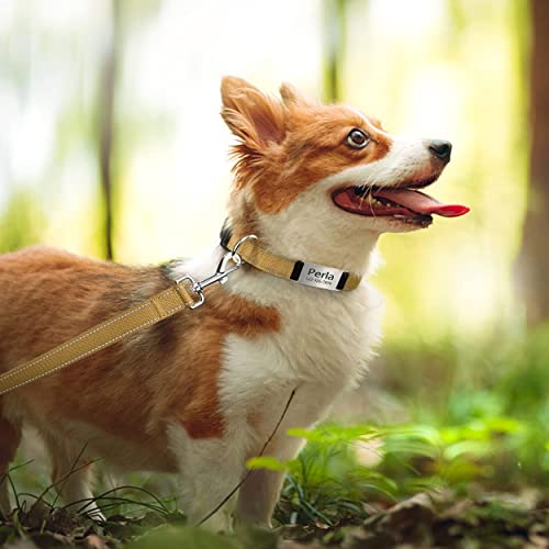 TagME Personalizado Nylon Collares para Perros, Ajustable Reflectante Collar Perro con Acolchados, Etiqueta de Acero Inoxidable Nombre Grabado y Número de Teléfono, Caqui