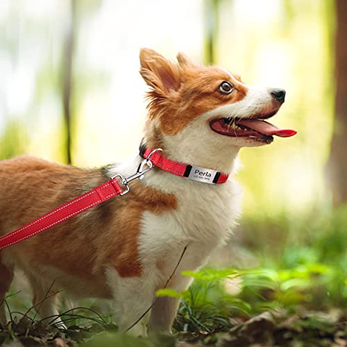 TagME Personalizado Nylon Collares para Perros, Ajustable Reflectante Collar Perro con Acolchados, Etiqueta de Acero Inoxidable Nombre Grabado y Número de Teléfono, Rojo