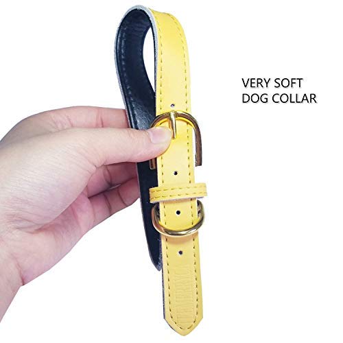 teemerryca Collar de piel para gatos con hebilla de seguridad suave para cachorros, cuello pequeño, amarillo, ajustable para perros XS 20 cm-26 cm