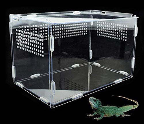 Terynbat Caja de cría de reptiles, lagarto araña ciempiés araña camaleón cría cuadro de observación caja de acrílico caja de captura caja transparente