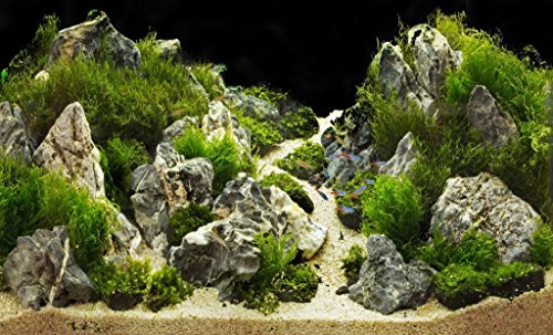 TM Aquatix - Piedra de acuario para peces, decoración natural, piezas de primera calidad