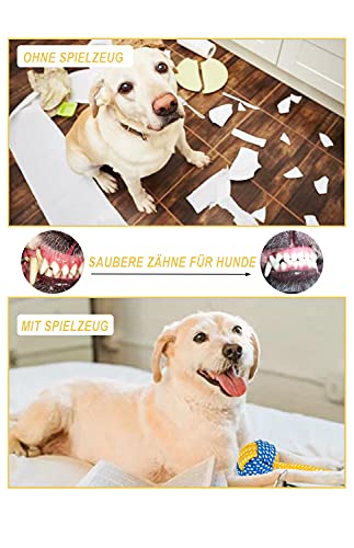 TNFUU Juguete Perro de Juguetes para Perros Juguete de masticación Limpiar los Dientes Juego de Juguetes Incluye Juguetes Interactivos Chirriantes Durable Masticable Cuerda para Perros