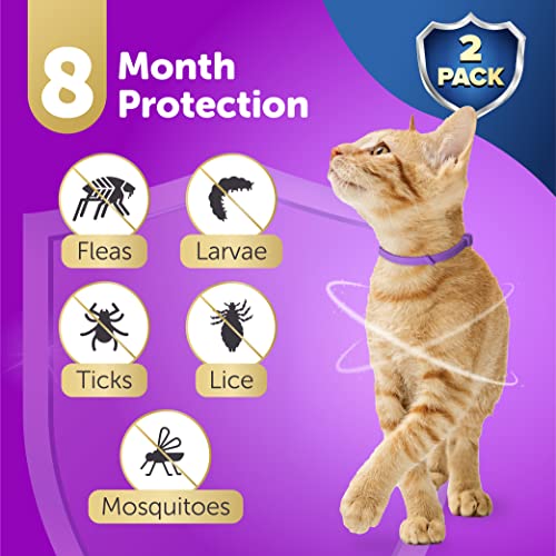 toldi Tratamiento contra Las pulgas en Gatos - Pack de 2 Collares para Gato - 8 Meses de protección contra pulgas, garrapatas y piojos - Resistente al Agua - Morado