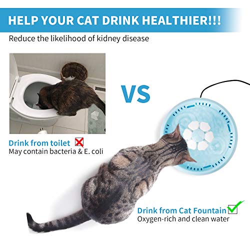 Toozey Fuente para Gatos - Bebedero Gatos con Ventana de Nivel de Agua, 3 Filtros y 2 Cepillos de Limpieza - Fuente para Gatos Super Silenciosa