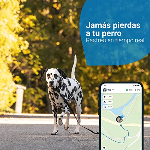 Tractive GPS DOG 4. Conoce siempre la ubicación de tu perro. Manténlo en forma con el Seguimiento de Actividad. Distancia ilimitada. (Café)