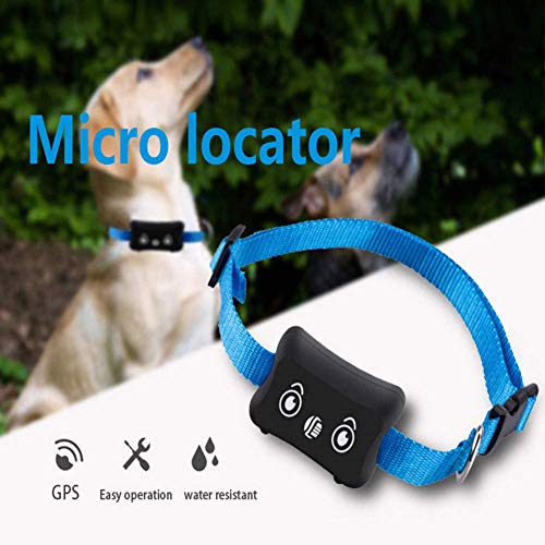 Tractive Localizador GPS para Pet con Seguimiento de Actividad, Anti Lost Tracking Localizador enTiempo Real Collar para Perros Training GPS en Tiempo Real