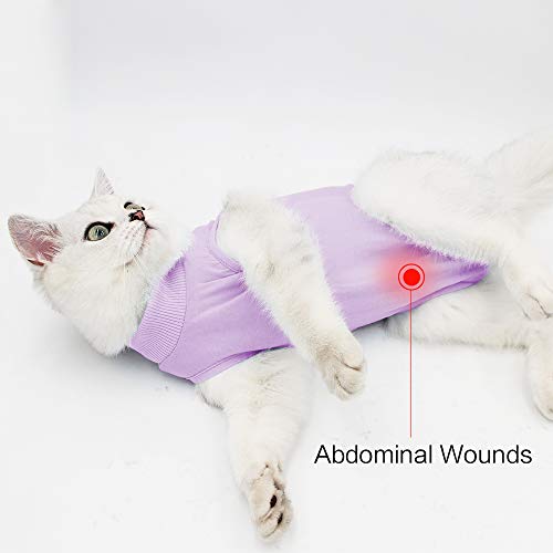 Traje de recuperación para gatos con anti lamida para heridas quirúrgicas abdominales Ropa para mascotas en casa blanda Cuello en E Alternativa para gatos Perros después de la cirugía Desgaste