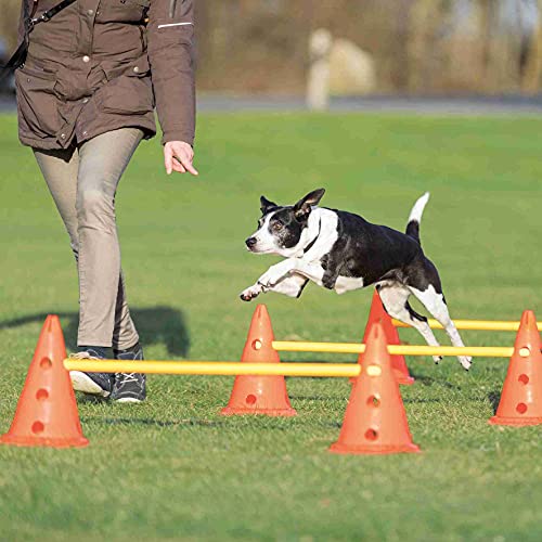 TRIXIE Set de Obstáculos para Perros