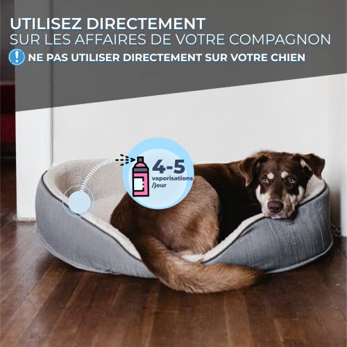 Ubiconfort - Aerosol relajante antiestrés para perros | Pheromonas Perro, Lavanda y Camomilla | Para casa, Transporte, Viaje, Veterinario | + 400 pulverizaciones | 60 ml