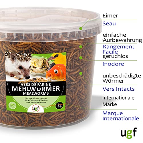 UGF - Gusanos de Harina Secos Premium Cubo de 3 litros, Comida para Pájaros Salvajes, Comida para Erizos, Comida para Ardillas, Comida para Patos. Gusanos de la Harina para Aves Silvestres