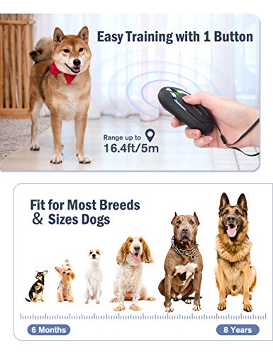 Ultrasónicos antiladridos para perros, Dispositivo Ahuyentador de Perros de mano, herramienta anti ladridos recargable alcance efectivo de 5m, Antiladridos para perros pequeños y grandes al aire libre
