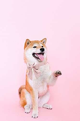 Unique style paws Collar de perro de seda rosa de color rosa, ajustable, resistente, con lazo para boda, para cachorros y gatos pequeños