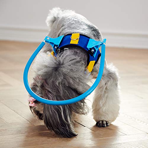UNWSTYU Perros ciegos Mascotas Arnés Seguro Anti-colisión Anillo Mascotas Guía de Color Débil Círculo Protección Animal Anillos Collar