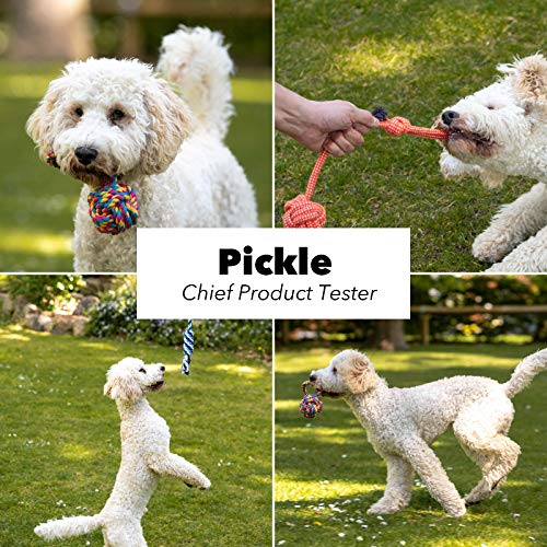 Vacker Design Juguetes para perros, juguetes para masticar cachorros, entrenamiento de dentición y aburrimiento, juguetes de cuerda para cachorros. Perros pequeños/medianos