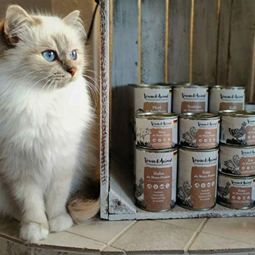 Venandi Animal - Pienso Premium para Gatos - Pollo como monoproteína - Completamente Libre de Cereales - 6 x 400 g