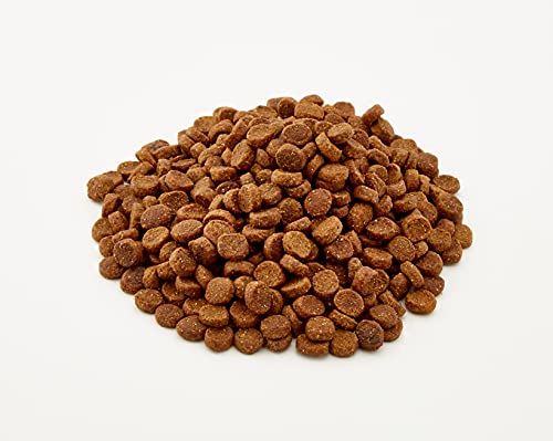 Venandi Animal - pienso seco para Gatos - Salmón como pienso seco - Completamente Libre de Cereales - 300 g