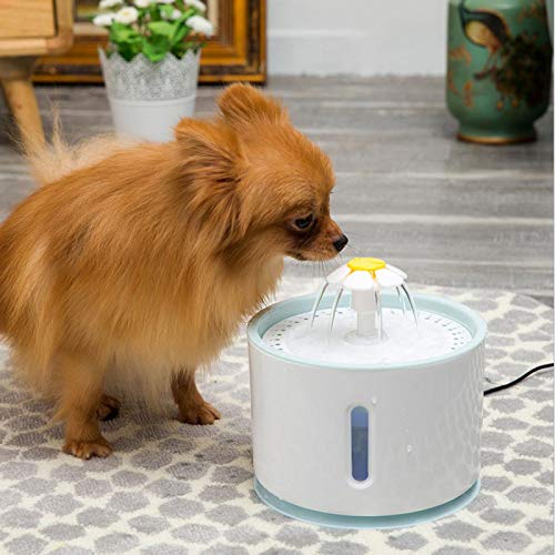 Venta Loca Fuente de Agua automática, Fuente de Agua para Perros Fuente de Agua eléctrica automática para Mascotas Fuente de Agua para Mascotas para Cuenco para Perros