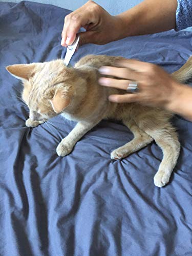 Vetocanis – Pipeta antipulgas antigarrapatas para Gatos, Tratamiento y protección antiparasitarios para Gatos 1-6 kg y hábitat – Caja de 2 pipetas