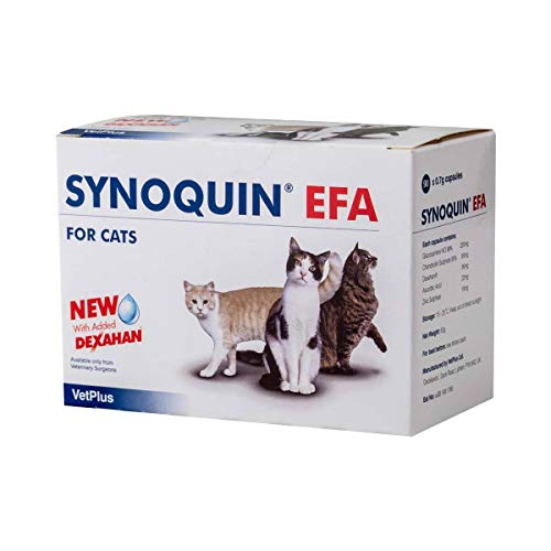 VetPlus Synoquin EFA - Complemento Nutricional para la Salud Articular de los Gatos, 90 Cápsulas