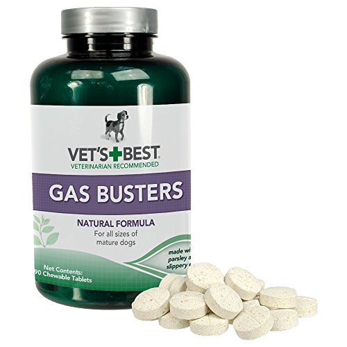 Vet's Best Gas Busters Suplementos para Perros para Gases, distensión Abdominal, Alivio del estreñimiento y Ayuda para la digestión para Perros 280 g