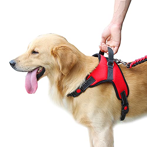VF Arnés de perro Lex ajustable con asa superior apta para cualquier perro, ideal para caminar, correr y adiestramiento. Dispensador de bolsas higiénicas (L, negro)