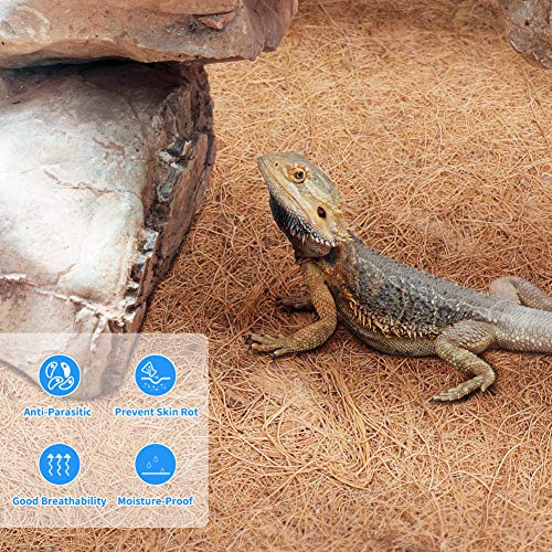 Viktop 3 UNIDS Estera de Reptil Jaula Alfombra de Fibra de Coco Natural para Reptil Terrario Ropa de Cama para Lizard Snake Tortuga Conejo Conejito
