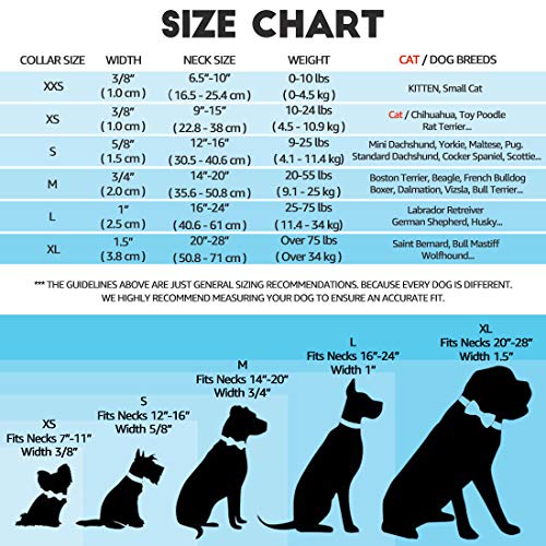 waaag Collar para mascota, 30 colores clásicos de color sólido collar para perro, collar de gato, correa de nailon, hebilla dorada collar para perro (lavanda, L)