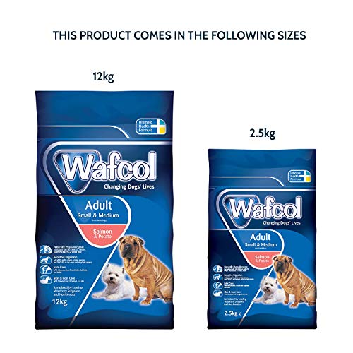 WAFCOL Alimentos para Perros sensibles para Adultos – Salmón y Patata – Alimentos para Perros sin Granos para Razas pequeñas y Medianas – Paquete de 12 kg Transparente