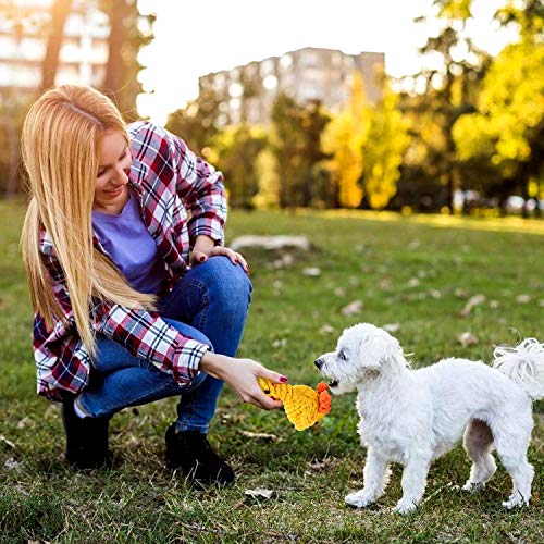 WELLXUNK Puppy Chew Toys, Juguetes para Perros, Limpieza de Dientes con Función de Cuidado Dental para Perro, Juguetes duraderos para Perros Cachorros Perros pequeños, Molar para Mascotas (A)