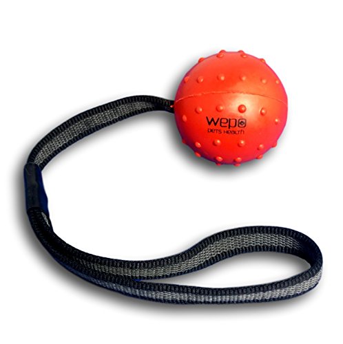 WEPO Juguete para perros, pelota con cuerda de caucho natural, para cachorros, pelota de lanzamiento para perros, pelota con cuerda/cuerda, color rojo