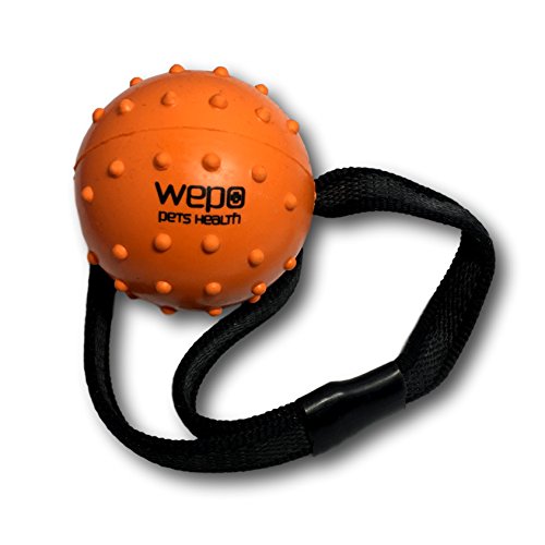 WEPO Juguete para perros, pelota de lanzamiento con cuerda de caucho natural, para cachorros, pelota con cuerda/cuerda, color naranja