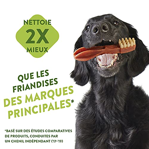 WHIMZEES Snack Cepillo Dental para Perro, S - 24 Bolsa