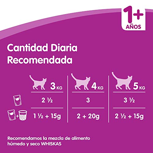 Whiskas Comida Húmeda para Gatos Selección Carnes en Salsa, Multipack (4 cajas x 12 bolsitas x 100g)