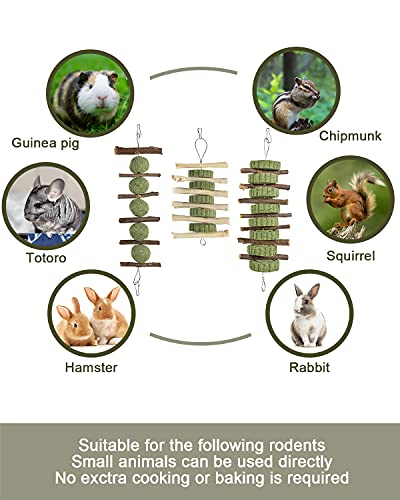 Woiworco 3 Piezas de Juguetes para Masticar Conejo, palitos de Manzana de Madera orgánica Hechos a Mano Naturales y Bolas de heno Timothy