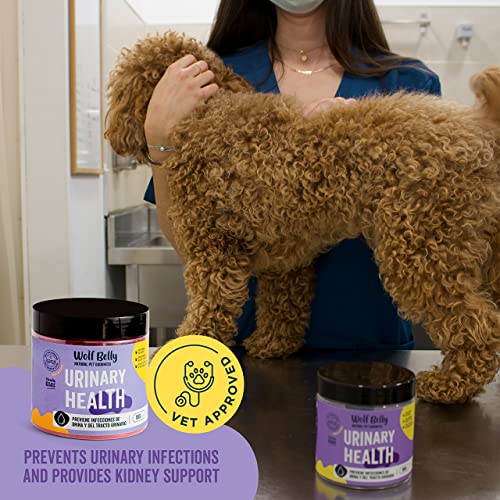Wolf Belly Suplemento en Polvo para Problemas Urinarios Perros y Gatos | Urinary Health | Previene Piedras del Riñon e Infecciones de Orina | 100% Natural | 180g