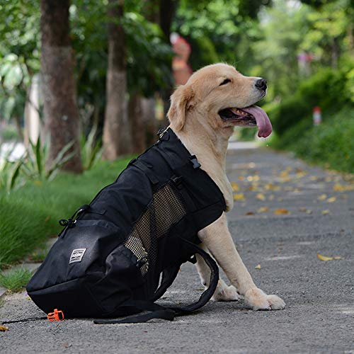 Woolala Mochila ligera para mascotas para perros pequeños y medianos, bolsa segura aprobada por el veterinario para viajes, fácil de tomar ahorro de espacio, negro M