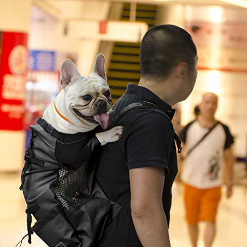 Woolala Mochila ligera para mascotas para perros pequeños y medianos, bolsa segura aprobada por el veterinario para viajes, fácil de tomar ahorro de espacio, negro M